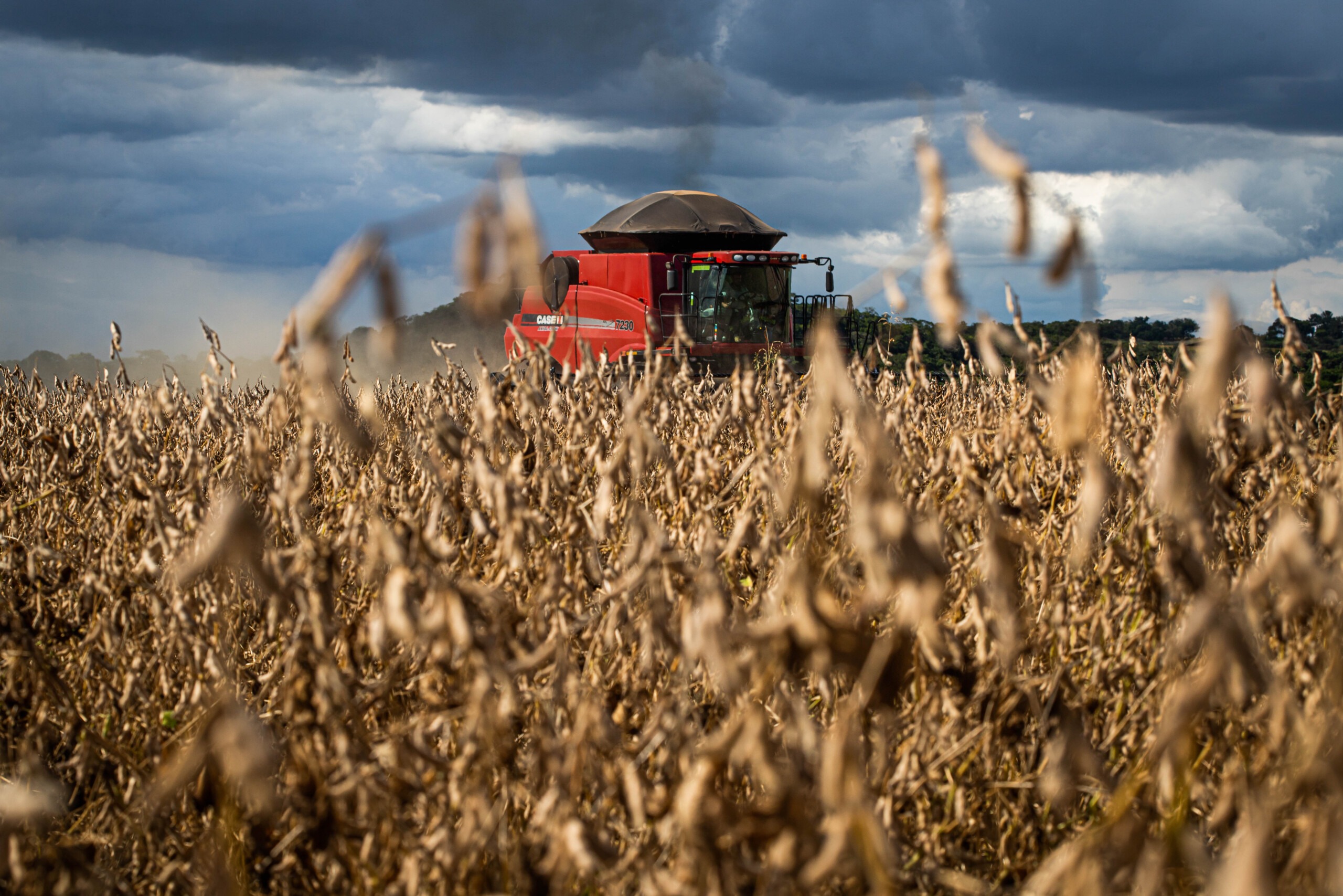 Brazilian Agricultural Exports Reach Us Billion In June