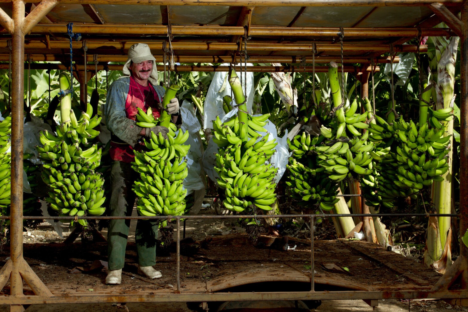 Fruit & Juices Brazilian Farmers