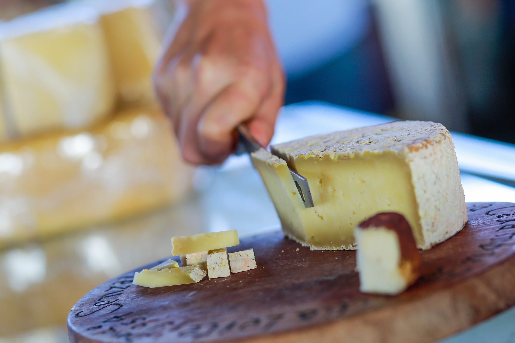 Dairy Brazilian Farmers