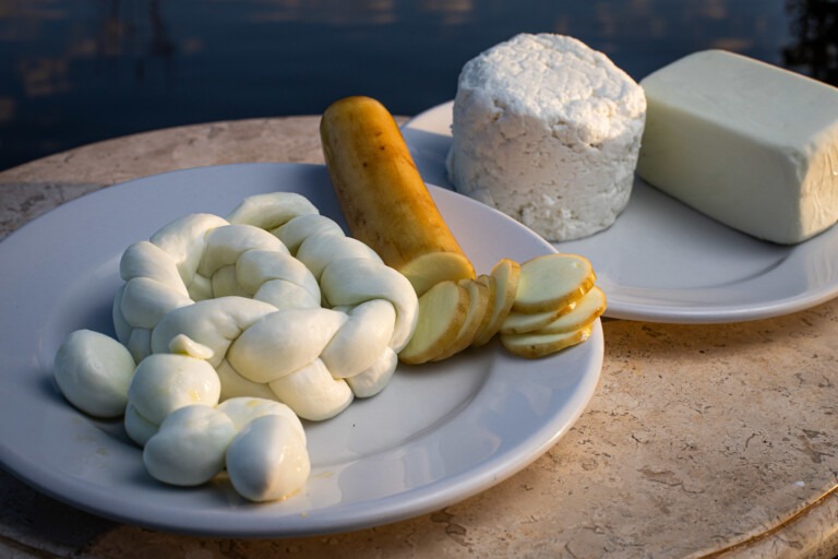 Dairy Brazilian Farmers