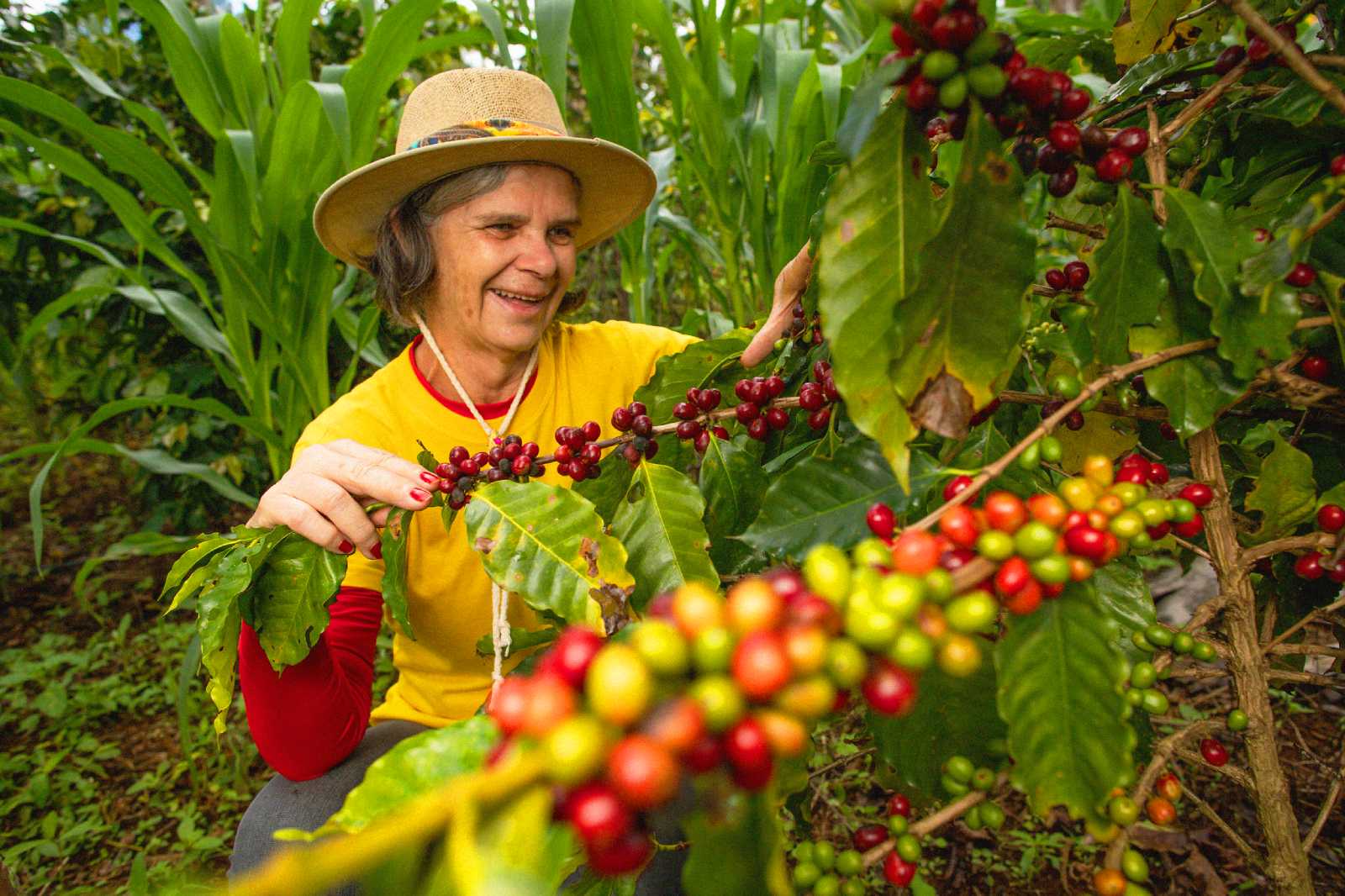 Our sustainable low-carbon farming