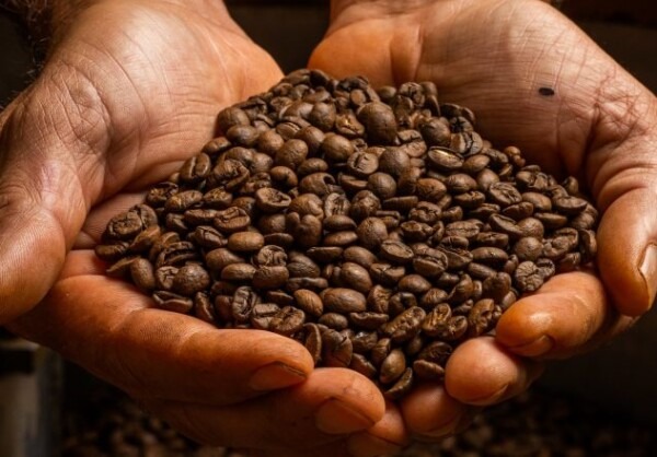 brazil negara penghasil kopi