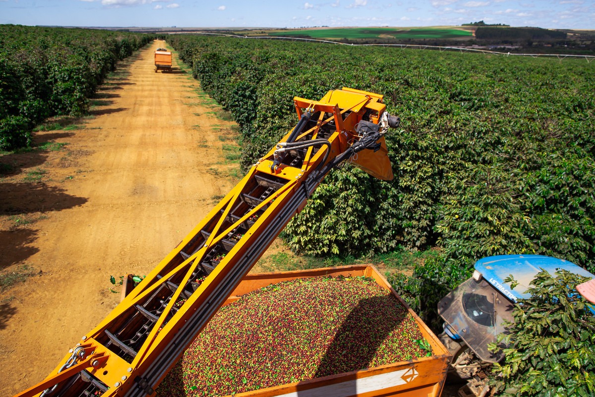 coffee-and-diversity-meet-brazil-s-greatest-treasures-brazilian-farmers