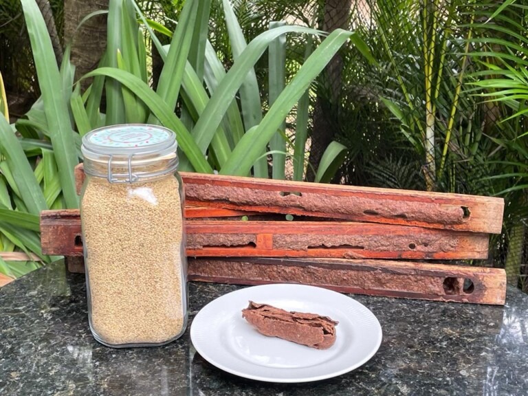 Brazilian coconut bee pollen conquers the international market