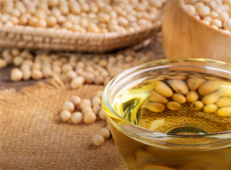 Brazilian Soybean Oil in Global Markets